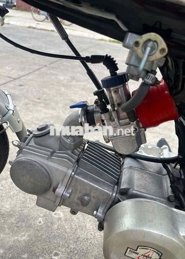 Honda 110 bình uma xịn, 4 bạc đạn
