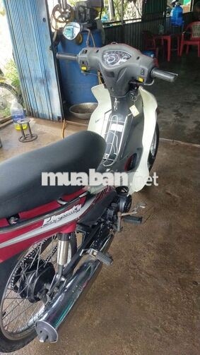 elegant 50cc