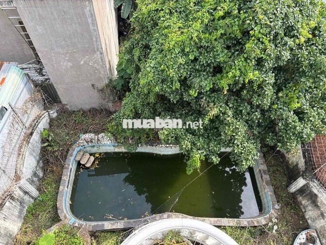 MTKD THẠNH LỘC 19 , 12m x 50m , 10PN WC riêng biệt