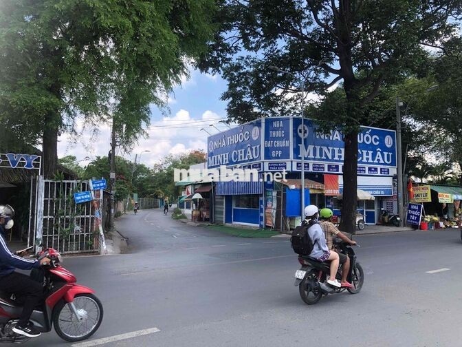 gia đình có việc cần bán gấp đất