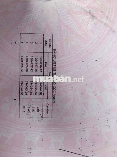 gia đình có việc cần bán gấp đất