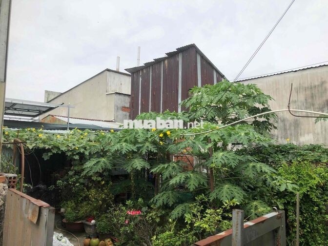 gia đình có việc cần bán gấp đất