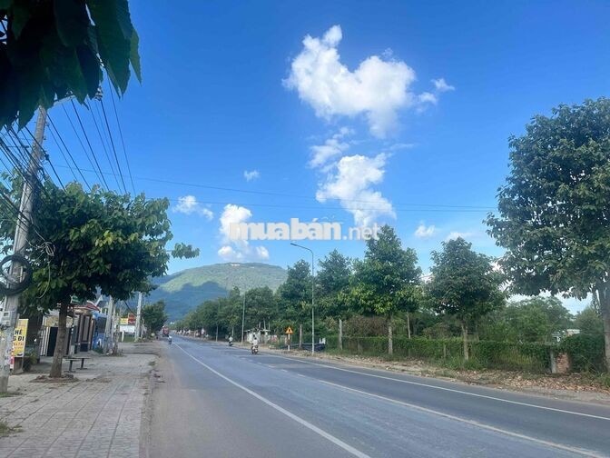 Bán đất vườn chính chủ ở Xuân Lộc Đồng Nai