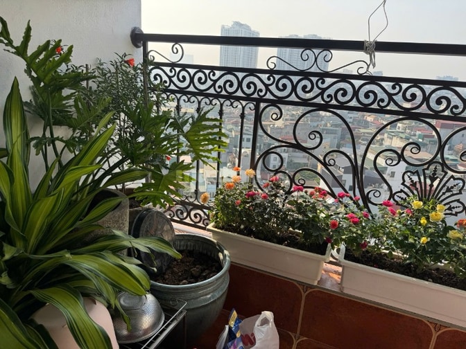 Bán căn hộ cao cấp tầng trung, diện tích 132 m2, Phường Bạch Mai