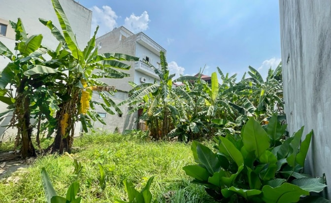 Đất thổ cư Đan Phượng 252m2, mặt tiền 12.5m, cạnh Vành Đai 4