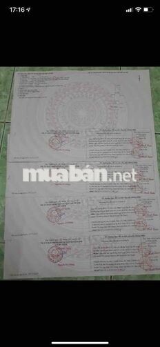 cần cho ra 3 nền đất full thổ cư