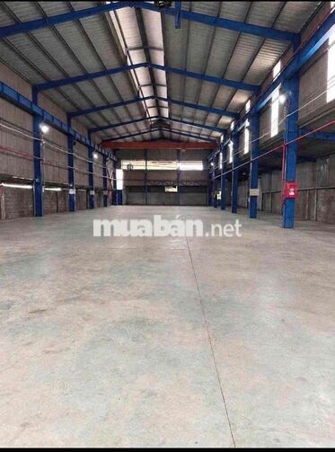 CHO THUÊ KHO XƯỞNG 1.200m² TRẦN VĂN GIÀU – TÂN VĨNH LỘC, TP.HCM