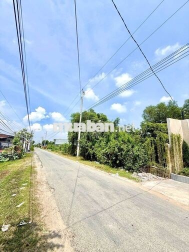 🏡Biệt Thự Mặt Tiền đường DT 14_ Long Thượng
