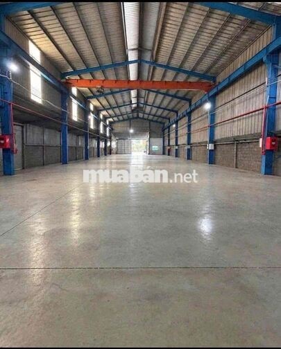 CHO THUÊ KHO XƯỞNG 1.200m² TRẦN VĂN GIÀU – TÂN VĨNH LỘC, TP.HCM