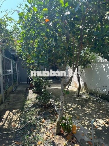 Cho thuê nhà nguyên căn ở Nhà Bè