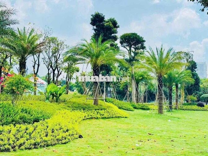 THANH TOÁN ĐỢT 1(10%) 686TR LÀ CÓ NGAY NHÀ PHỐ LIỀN KỀ TẠI VÀNH ĐAI 3