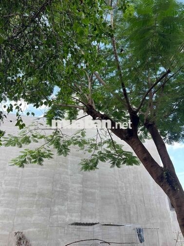đất xây biệt thự 9x20m gần Chợ Xuân thới thượng