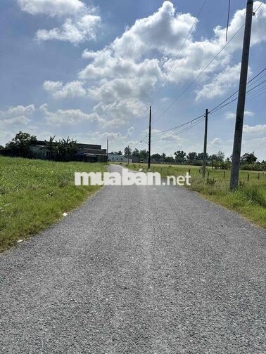 149m2 Thổ 5*30 MẶT Tiền Nhựa NGUYỄN VĂN DƯ 599 Triệu. Ngay Chợ -Trường