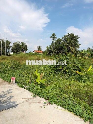 239 Triệu Sổ Riêng 105m2 Thổ Cư đường Bê Tông 3m.  Nhà Dân xung quanh