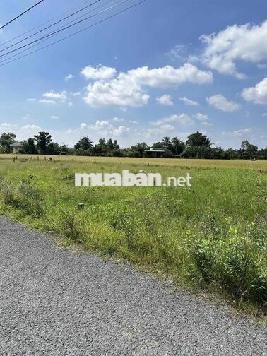 149m2 Thổ 5*30 MẶT Tiền Nhựa NGUYỄN VĂN DƯ 599 Triệu. Ngay Chợ -Trường