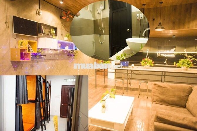Đại học Kinh tế HCM UEH Cách Mạng Tháng 8 Trọ ghép Sinh viên Văn phòng