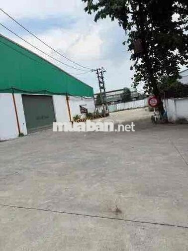 Cho thuê kho xưởng tiêu chuẩn dt lớn 8500m