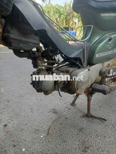 Bsn xe Honda Cub 81 Nhật Bản màu Xanh