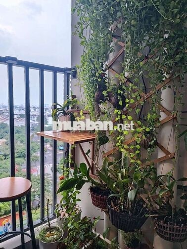 🔥 CHỈ 2,55 TỶ – SỞ HỮU CĂN HỘ 1PN+1, 49M2 TẠI PICITY HIGH PARK! 🔥