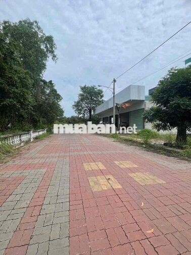 NGỘP BANK BÁN GẤP LÔ ĐẤT CÁT TƯỜNG PHÚ SINH 8x20 VIEW BỜ HỒ GIÁ 1,9tỷ