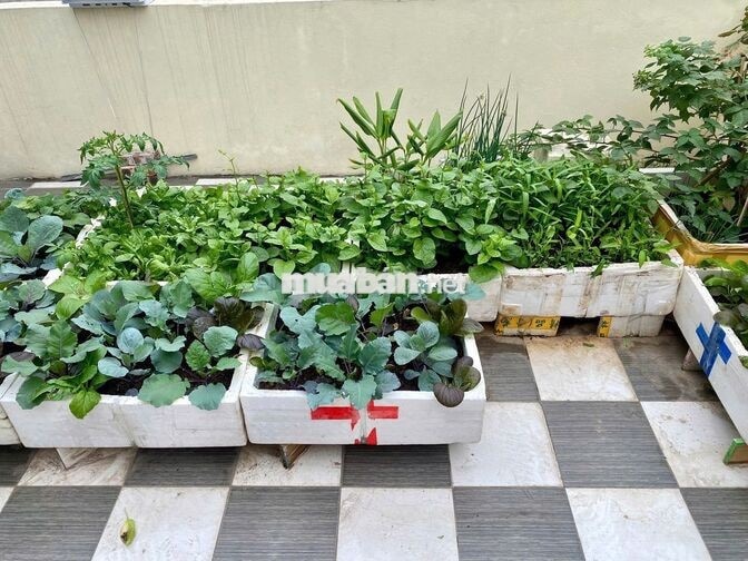 Cho thuê nhà Sài Đồng -2 phòng ngủ - Full nội thất, ở ngay.Giá 5,5tr