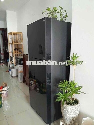 Cho thuê chung cư pegausu phường thống nhất giá 10.000.000