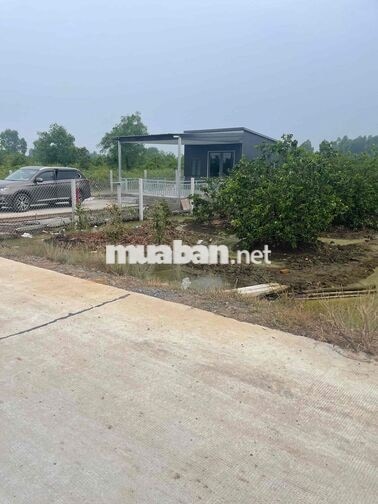 Chính chủ kẹt tiền bán Nhà Vườn sắp lên thổ 2 MT ***