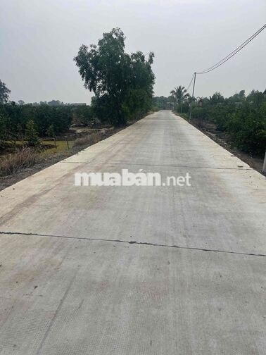 Chính chủ kẹt tiền bán Nhà Vườn sắp lên thổ 2 MT ***