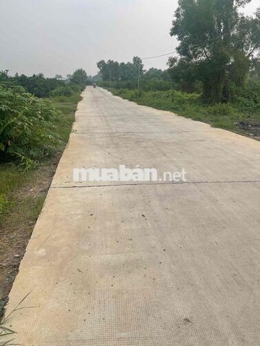 Chính chủ kẹt tiền bán Nhà Vườn sắp lên thổ 2 MT ***
