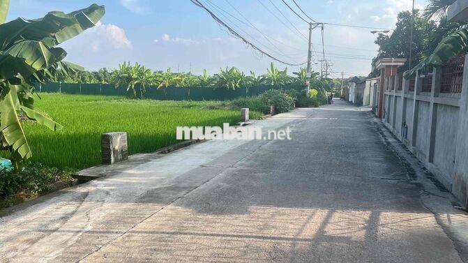 Bán đất Cạnh KCN Nội Bài, 80m, nhỉnh 2 tỷ