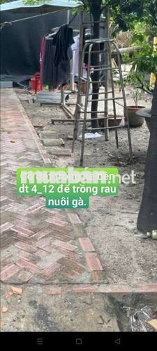 Nhà vườn 4*12+ Đất trồng rau Đường võ văn vân Vĩnh Lộc B