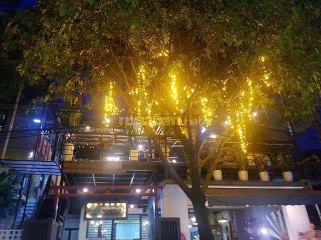 Bán nhà mặt tiền Nguyễn Bính Phường Vỹ Dạ, TP. Huế