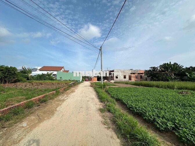 Đất nền đẹp ngộp tiền cần bán gấp