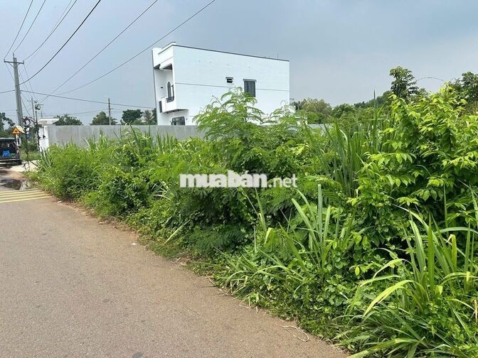 Lô đất thị trấn Đất Đỏ, mặt tiền Trịnh Hoài Đức, 950 triệu, 120m2