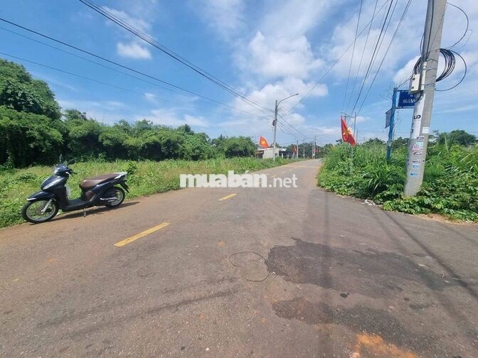 Lô đất thị trấn Đất Đỏ, mặt tiền Trịnh Hoài Đức, 950 triệu, 120m2