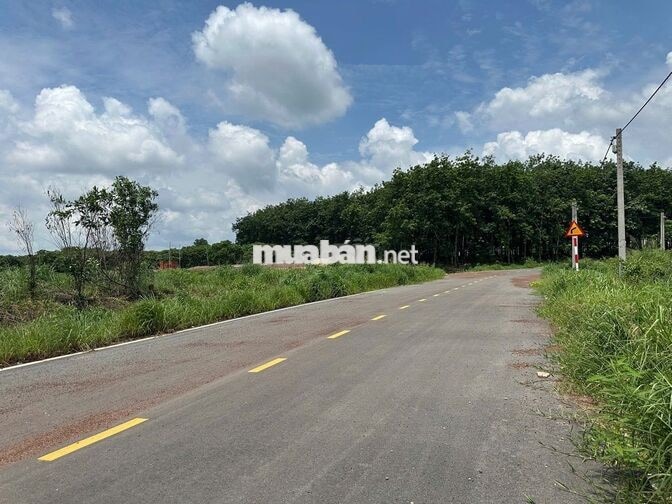 SỐC SỐC! RA NHANH 10M MT NGUYỄN VĂN LINH VIEW HỒ CHỈ 800TR