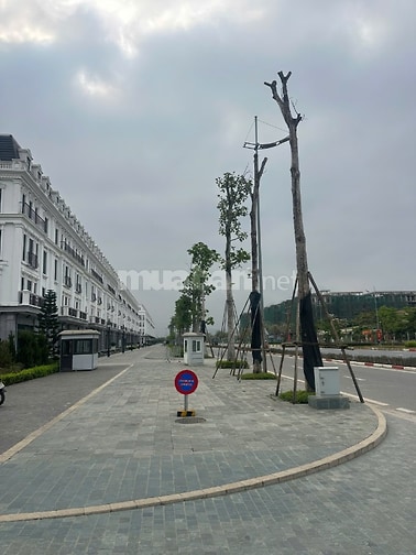 Bán nhà liền kề dự án Avenue Garden đường Tây Thăng Long 143m 6 tầng