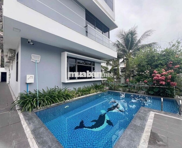 🏡 CHO THUÊ APARTMENT | CĂN HỘ 2 PHÒNG NGỦ PENHOUSE 2 BAN CÔNG RỘNG VIE