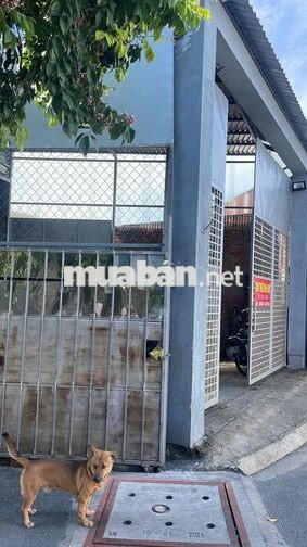 cho thuê mb kho dt 7m x 18m mặt tiền đường kênh T2