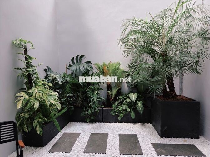 Căn Hộ Sân Vườn 45m2 - Full Nội Thất - Hẻm 8M Thành Thái 