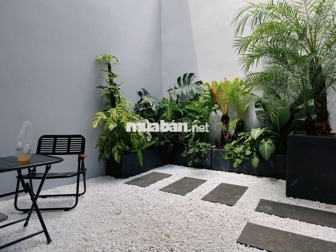 Căn Hộ Sân Vườn 45m2 - Full Nội Thất - Hẻm 8M Thành Thái 