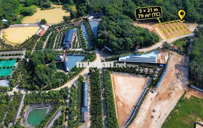 Bán Đất Mặt Tiền Đường Lớn – Vị Trí Tiềm Năng