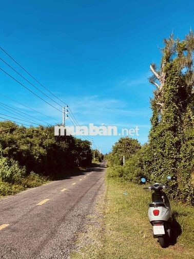 bán đất mặt tiền Nguyễn Tri Phương, view biển đảo Phú Quý xinh đẹp!
