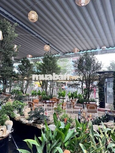 CHO THUÊ MẶT BẰNG GÒ VẤP – 1300M² KHỦNG – LÔ GÓC KINH DOANH ĐẮC ĐỊA