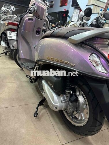 Honda Scoopy 2024 xe dán keo toàn bộ mới 99% zin