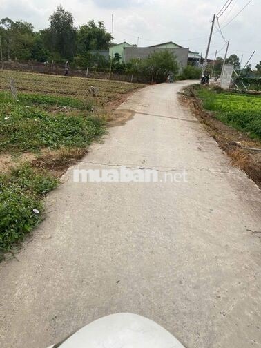 Cần tiền bán gấp lô đất thổ cư 80m2 tại Ấp Lộc Hậu, Mỹ Lộc, Tây Ninh