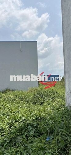Cần tiền bán gấp lô đất thổ cư 80m2 tại Ấp Lộc Hậu, Mỹ Lộc, Tây Ninh