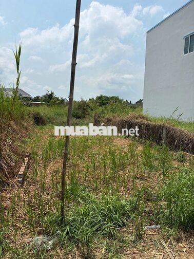 Cần tiền bán gấp lô đất thổ cư 80m2 tại Ấp Lộc Hậu, Mỹ Lộc, Tây Ninh