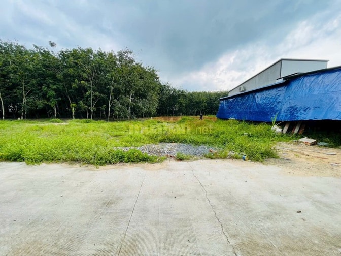 Bán lô đất 85m2,SHR ngay chợ Mỹ Hạnh, thanh khoản cao