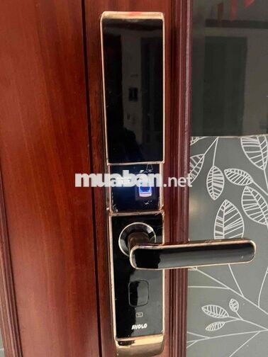 Cho thuê nhà nguyên căn 5tâng,55m, có thang máy- chính chủ